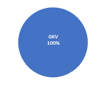 100% GKV